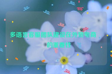 多語言客服團(tuán)隊建設(shè)在外貿(mào)電商中的重要性