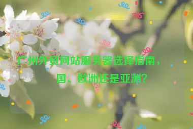 廣州外貿(mào)網(wǎng)站服務(wù)器選擇指南，美國(guó)、歐洲還是亞洲？