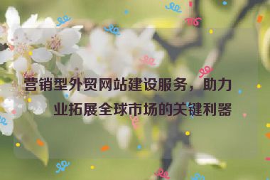 營(yíng)銷(xiāo)型外貿(mào)網(wǎng)站建設(shè)服務(wù)，助力企業(yè)拓展全球市場(chǎng)的關(guān)鍵利器