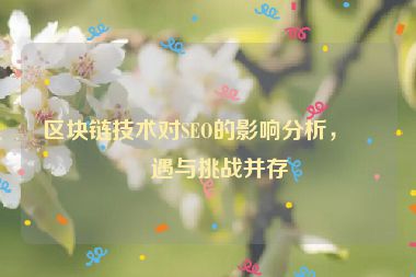 區(qū)塊鏈技術(shù)對SEO的影響分析，機(jī)遇與挑戰(zhàn)并存