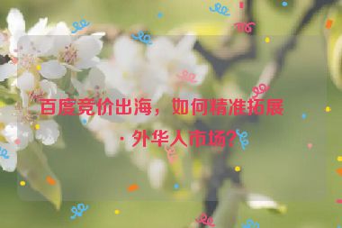 百度競價出海，如何精準拓展海外華人市場？