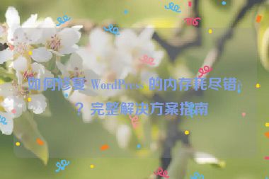 如何修復(fù) WordPress 的內(nèi)存耗盡錯(cuò)誤？完整解決方案指南