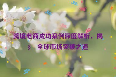 跨境電商成功案例深度解析，揭秘全球市場突破之道