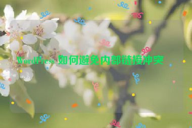 WordPress 如何避免內(nèi)部鏈接沖突？