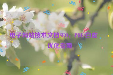 電子網(wǎng)站技術(shù)文檔SEO，PDF/白皮書優(yōu)化指南