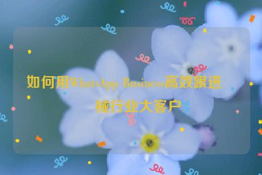如何用WhatsApp Business高效跟進(jìn)機械行業(yè)大客戶
