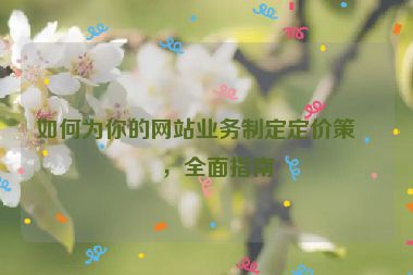如何為你的網(wǎng)站業(yè)務(wù)制定定價(jià)策略，全面指南