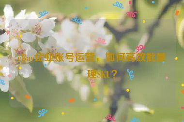 eBay企業(yè)賬號運營，如何高效批量管理SKU？