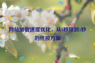 網站加載速度優(yōu)化，從5秒降到1秒的終極方案
