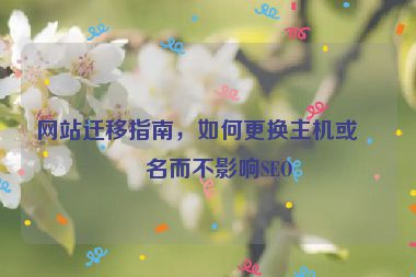 網(wǎng)站遷移指南，如何更換主機或域名而不影響SEO