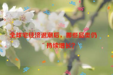 全球宅經(jīng)濟(jì)退潮后，哪些品類仍在持續(xù)增長(zhǎng)？
