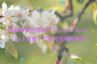 如何利用付費(fèi)會(huì)員（Premium Membership）變現(xiàn)？打造可持續(xù)的盈利模式