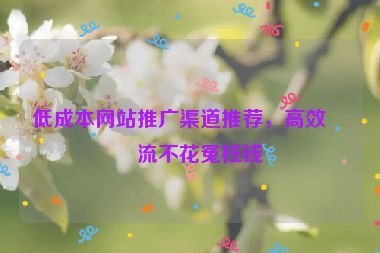 低成本網(wǎng)站推廣渠道推薦，高效引流不花冤枉錢