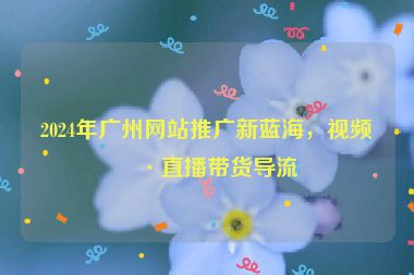 2024年廣州網(wǎng)站推廣新藍(lán)海，視頻號(hào)直播帶貨導(dǎo)流