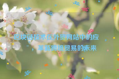 區(qū)塊鏈技術(shù)在外貿(mào)網(wǎng)站中的應(yīng)用，革新跨境貿(mào)易的未來(lái)