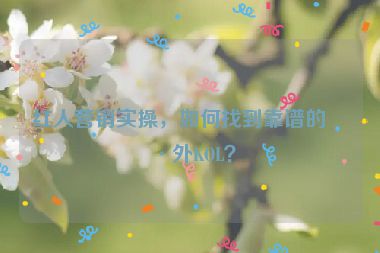 紅人營銷實操，如何找到靠譜的海外KOL？