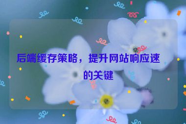后端緩存策略，提升網站響應速度的關鍵