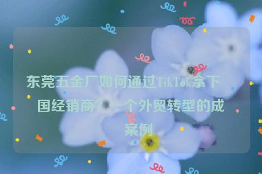 東莞五金廠如何通過TikTok拿下美國(guó)經(jīng)銷商？一個(gè)外貿(mào)轉(zhuǎn)型的成功案例