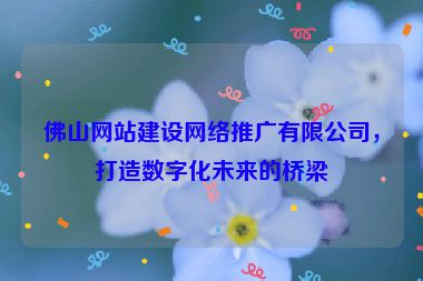 佛山網(wǎng)站建設(shè)網(wǎng)絡(luò)推廣有限公司，打造數(shù)字化未來(lái)的橋梁