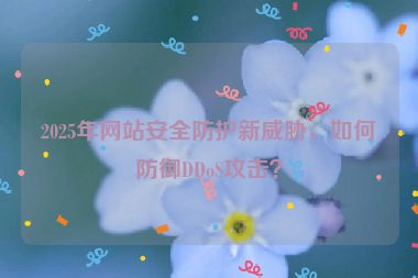 2025年網(wǎng)站安全防護新威脅，如何防御DDoS攻擊？