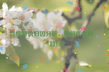 百度競價歸因分析，如何優(yōu)化轉(zhuǎn)化路徑？