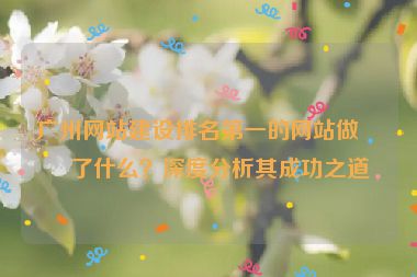 廣州網(wǎng)站建設排名第一的網(wǎng)站做對了什么？深度分析其成功之道