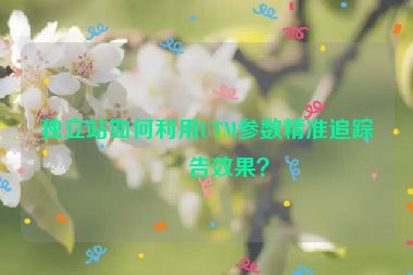 獨立站如何利用UTM參數(shù)精準追蹤廣告效果？
