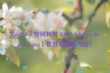 WordPress 如何利用 HARO（Help a Reporter Out）獲取高質(zhì)量外鏈？