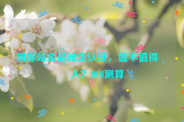 國(guó)際站金品誠(chéng)企認(rèn)證，值不值得投入？ROI測(cè)算
