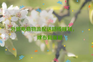 外貿(mào)電商物流配送路線規(guī)劃，全球布局策略
