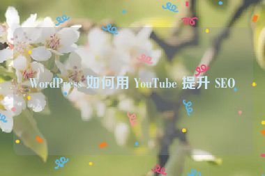 WordPress 如何用 YouTube 提升 SEO？