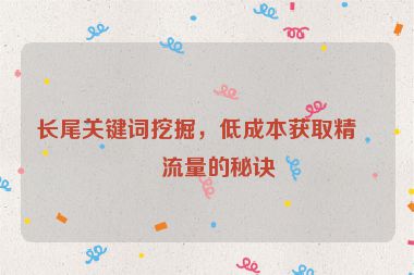 長尾關(guān)鍵詞挖掘，低成本獲取精準流量的秘訣