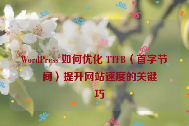 WordPress 如何優(yōu)化 TTFB（首字節(jié)時(shí)間）提升網(wǎng)站速度的關(guān)鍵技巧