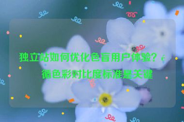 獨(dú)立站如何優(yōu)化色盲用戶體驗(yàn)？遵循色彩對比度標(biāo)準(zhǔn)是關(guān)鍵