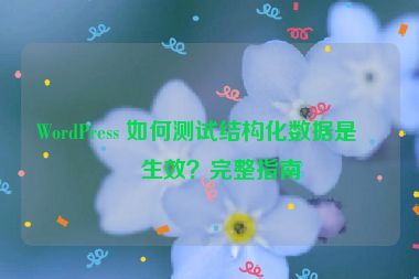 WordPress 如何測(cè)試結(jié)構(gòu)化數(shù)據(jù)是否生效？完整指南