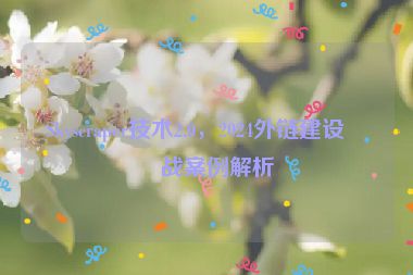 Skyscraper技術2.0，2024外鏈建設實戰(zhàn)案例解析