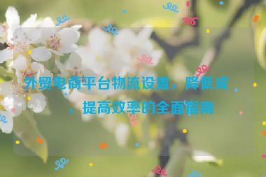 外貿(mào)電商平臺物流設(shè)置，降低成本，提高效率的全面指南