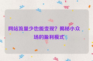 網(wǎng)站流量少也能變現(xiàn)？揭秘小眾市場的盈利模式