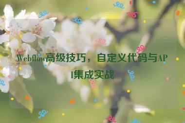 Webflow高級(jí)技巧，自定義代碼與API集成實(shí)戰(zhàn)