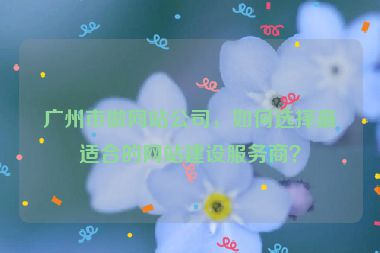 廣州市做網(wǎng)站公司，如何選擇最適合的網(wǎng)站建設(shè)服務(wù)商？