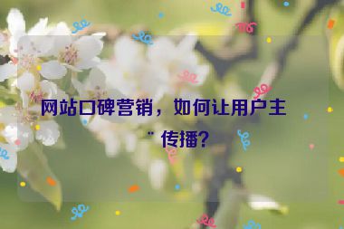 網(wǎng)站口碑營銷，如何讓用戶主動傳播？
