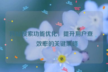 網(wǎng)站搜索功能優(yōu)化，提升用戶查找效率的關(guān)鍵策略