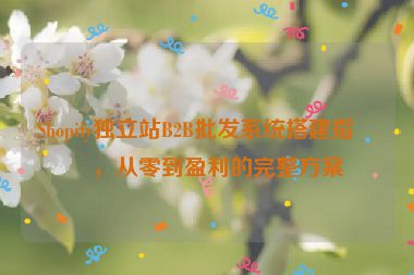 Shopify獨(dú)立站B2B批發(fā)系統(tǒng)搭建指南，從零到盈利的完整方案