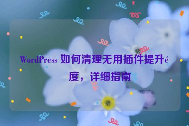 WordPress 如何清理無用插件提升速度，詳細(xì)指南