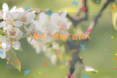 、圖片，增加廣告投入