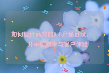 如何設(shè)計(jì)高效的B2B產(chǎn)品目錄，提升采購(gòu)效率與客戶體驗(yàn)