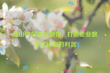 佛山網(wǎng)站建設(shè)制作，打造企業(yè)數(shù)字化轉(zhuǎn)型的利器