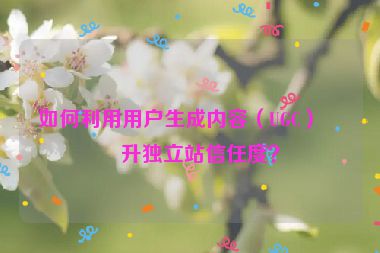 如何利用用戶生成內(nèi)容（UGC）提升獨立站信任度？