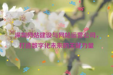 深圳網(wǎng)站建設與網(wǎng)站運營公司，打造數(shù)字化未來的關鍵力量