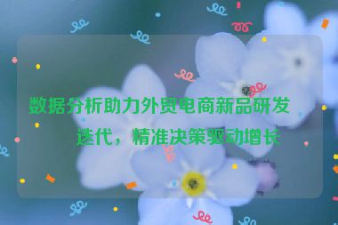 數(shù)據(jù)分析助力外貿(mào)電商新品研發(fā)與迭代，精準(zhǔn)決策驅(qū)動(dòng)增長